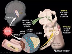 一键收藏 | 非小细胞肺癌化疗的不良反应和常用药物